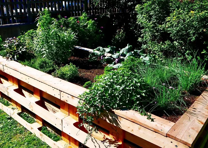 بيت ضيافة Falkeis